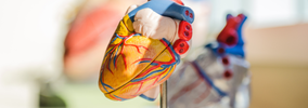 Patients atteints d'une insuffisance cardiaque ou BPCO